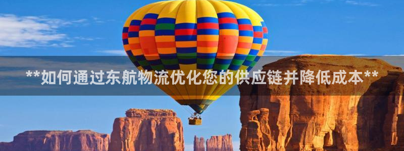 28圈能赢钱吗：**如何通过东航物流