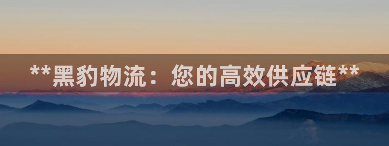 28圈人头费：**黑豹物流：您的高效