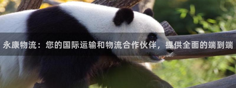 28圈软件堵什么反什么：永康物流：您