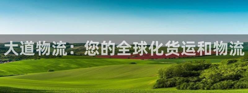 28圈黑款：大道物流：您的全球化货运
