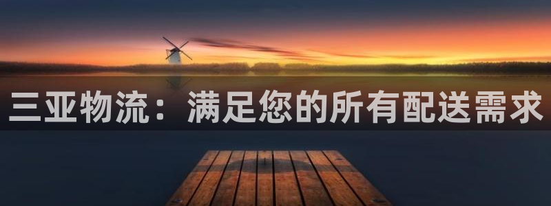 28圈模拟器在线玩：三亚物流：满足您