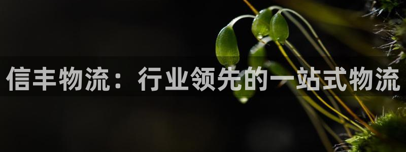 28圈充值不到账什么原因