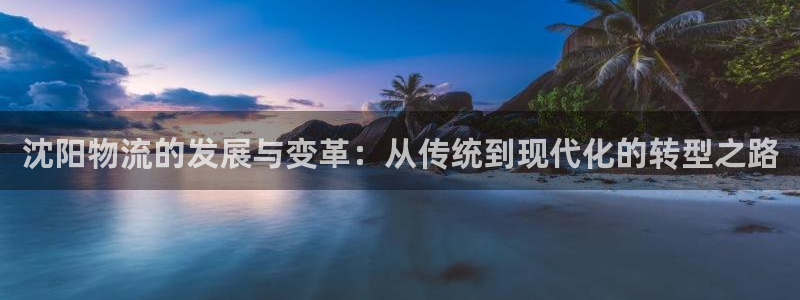 28圈客服一直不回消息怎么办：沈阳物