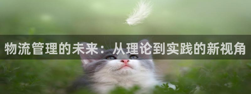 28圈下载体育