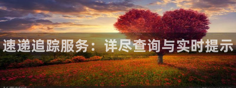 28圈注册网站多少钱一个：速递追踪服