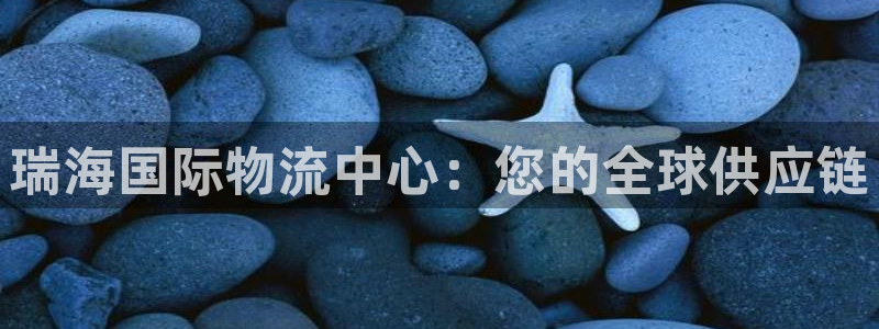 28圈官方平台：瑞海国际物流中心：您的全球供应链