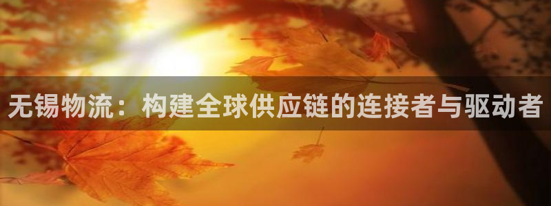 28圈注册问一问：无锡物流：构建全球