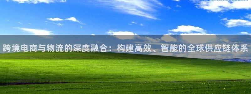 28圈龙虎：跨境电商与物流的深度融合