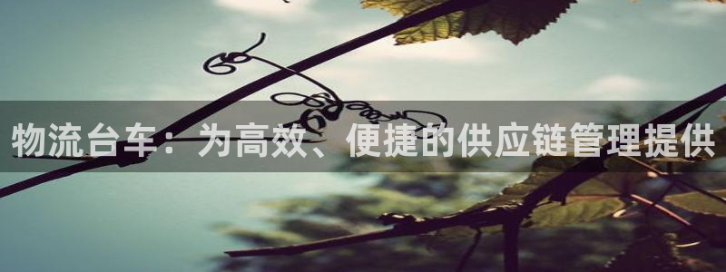 加拿大28圈数字规则：物流台车：为高效、便捷的供应链管理提供