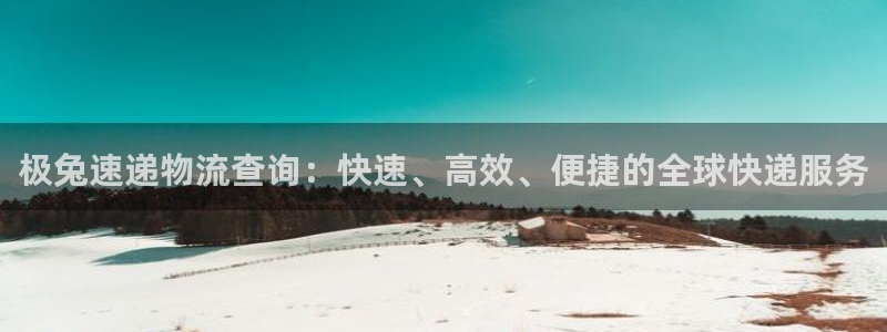28圈ccm游戏：极兔速递物流查询：