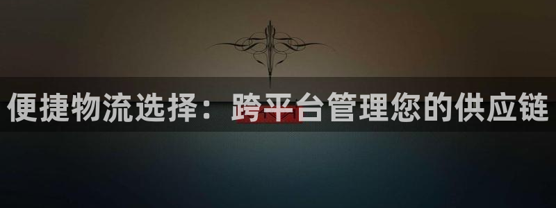 28圈退款教程：便捷物流选择：跨平台