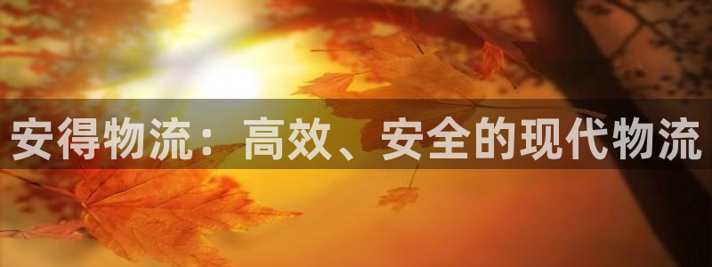 28圈机器人是什么软件：安得物流：高效、安全的现代物流