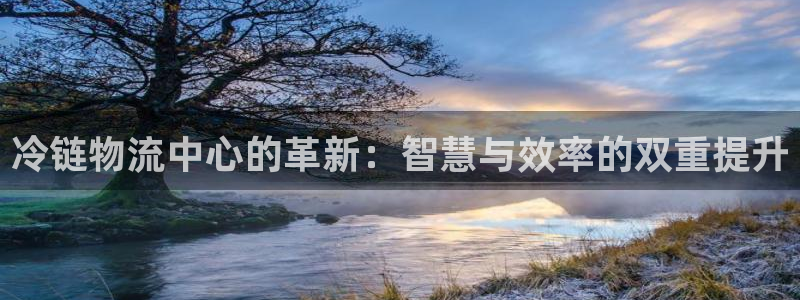 28圈注册网站链接是什么：冷链物流中