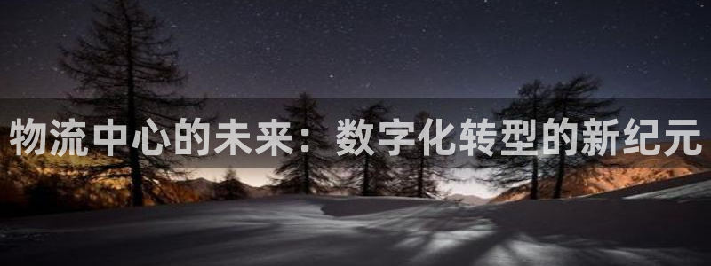 28圈连输10天：物流中心的未来：数