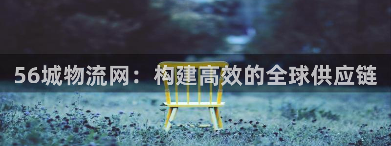 28圈官方版网站：56城物流网：构建