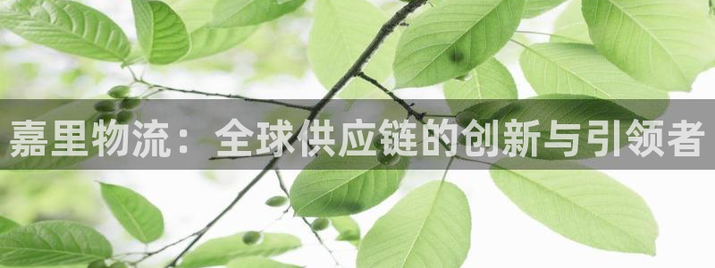 28圈的平台：嘉里物流：全球供应链的