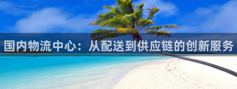28圈官网平台：国内物流中心：从配送