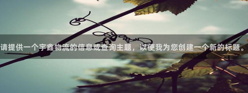 28圈赌博被抓：请提供一个宇鑫物流的
