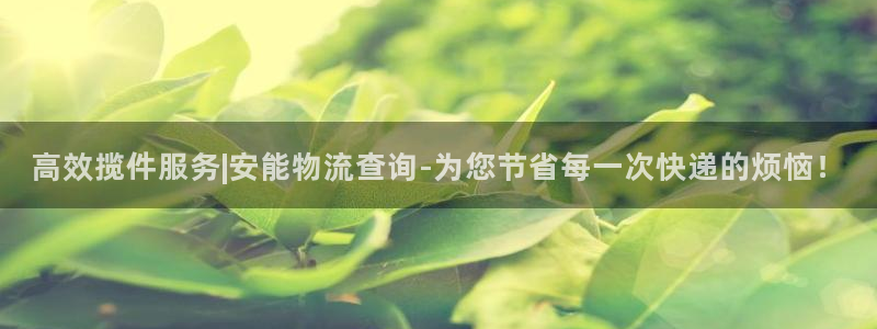 28圈软件：高效揽件服务|安能物流查