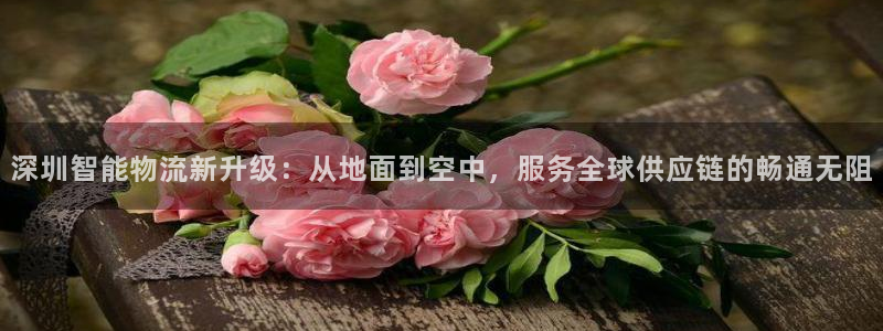 28圈在线预测：深圳智能物流新升级：