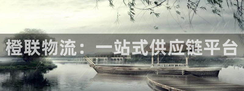 28圈圈助手：橙联物流：一站式供应链