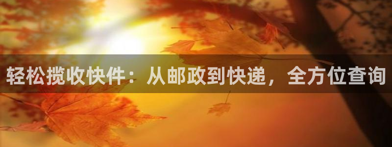 28圈加拿大真假怎么看：轻松揽收快件