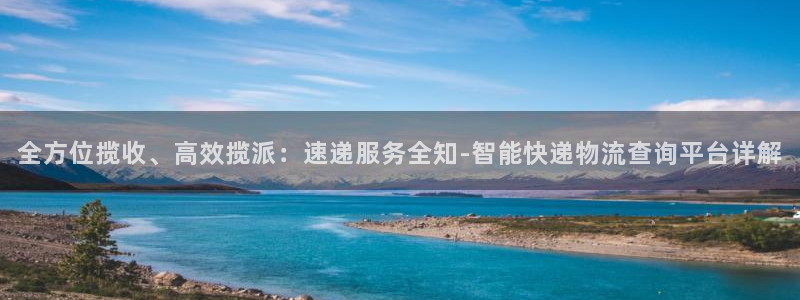 28圈注册：全方位揽收、高效揽派：速