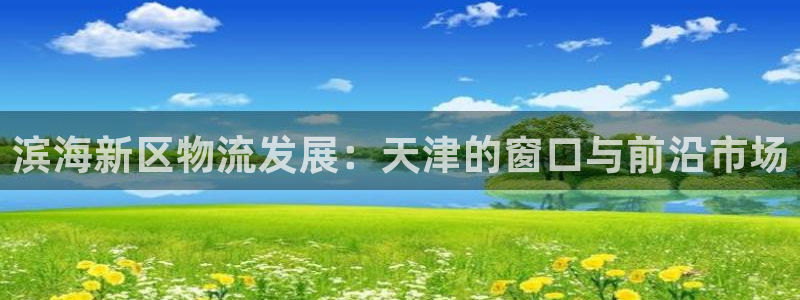 28圈加拿大预测：滨海新区物流发展：天津的窗口与前沿市场