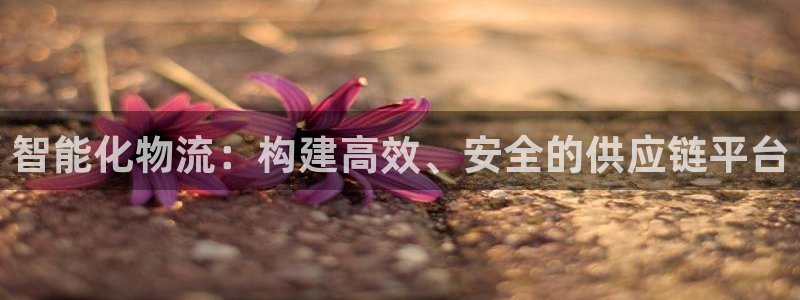 28圈平台注册：智能化物流：构建高效