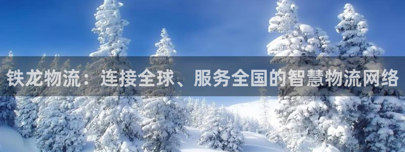 28圈注册网址：铁龙物流：连接全球、