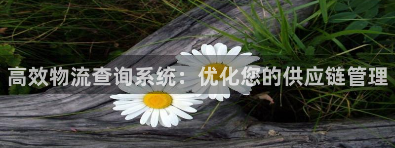 28圈麻将胡了爆分视频：高效物流查询