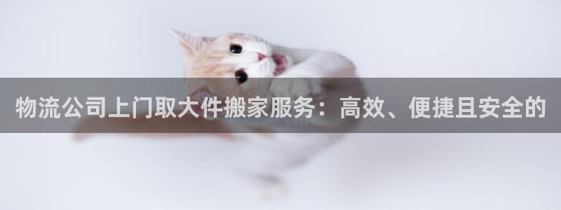 28圈加拿大是什么意思：物流公司上门