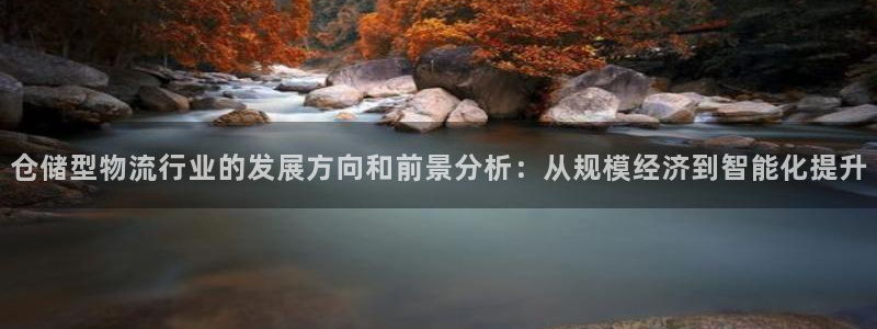 28圈注册网页：仓储型物流行业的发展