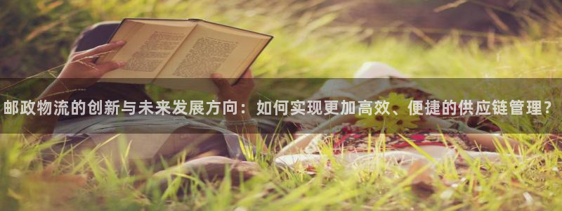 28圈网赌案件：邮政物流的创新与未来