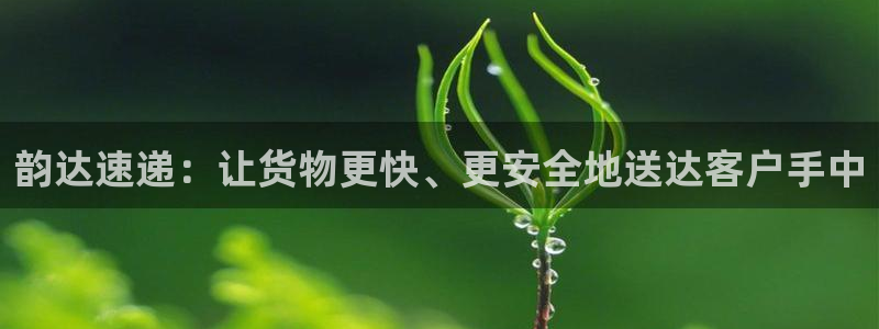 28圈怎么下载：韵达速递：让货物更快