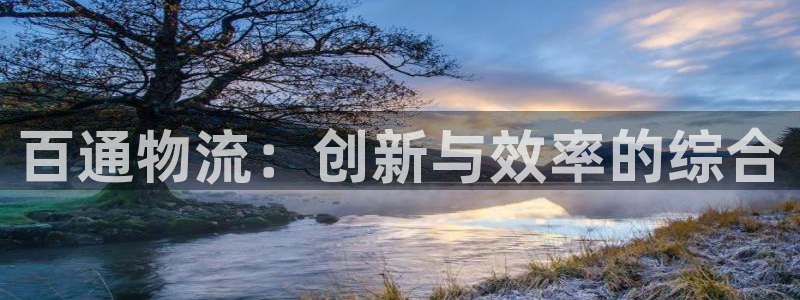 28圈充值不处理：百通物流：创新与效
