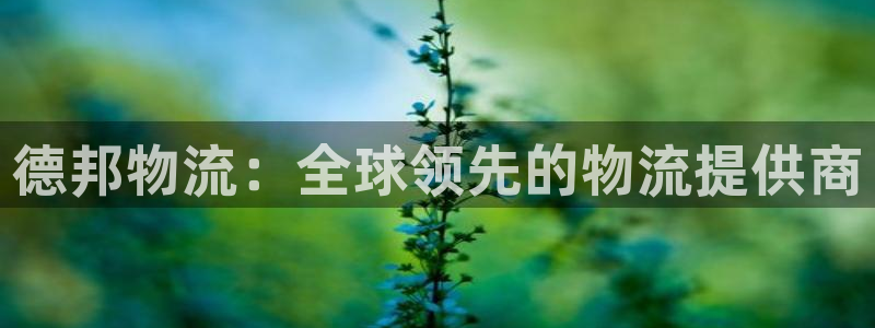 28圈注册网站链接是什么：德邦物流：