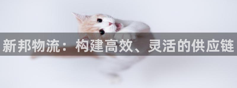 28圈注册网站多少：新邦物流：构建高