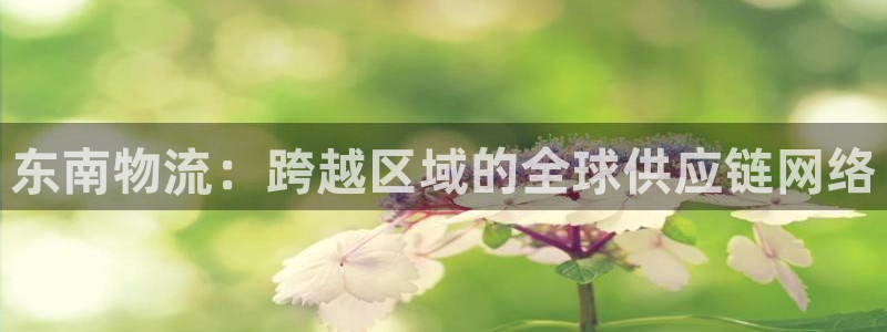 28圈玩法