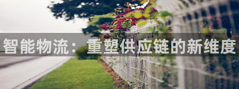 28圈加拿大28