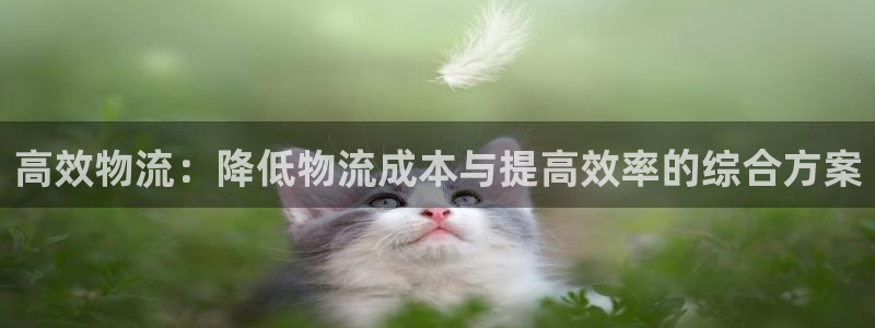28圈加拿大技巧