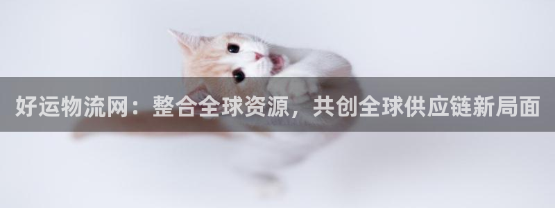 28圈黑款