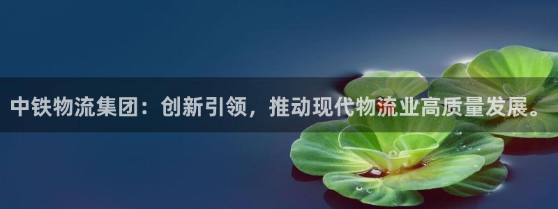 28圈官方平台