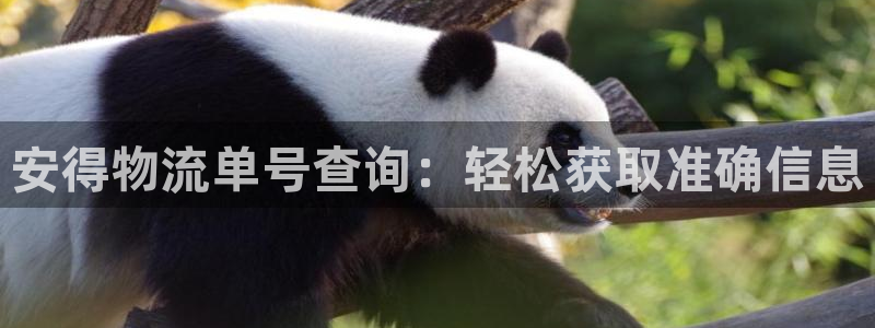 28圈.ccmpc是诈骗吗?：安得物