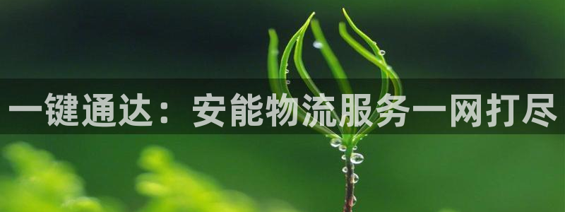 28圈app官网少林足球：一键通达：