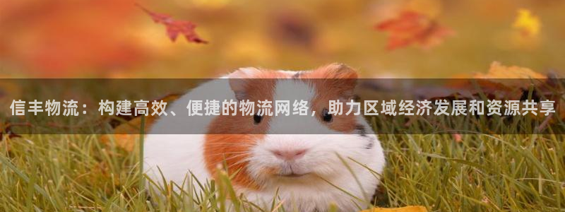 28圈.ccm2024：信丰物流：构