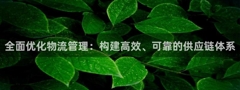 28圈加拿大6.0：全面优化物流管理