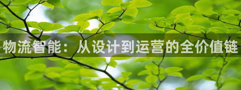 28圈注册登录链接:物流智能:从设计