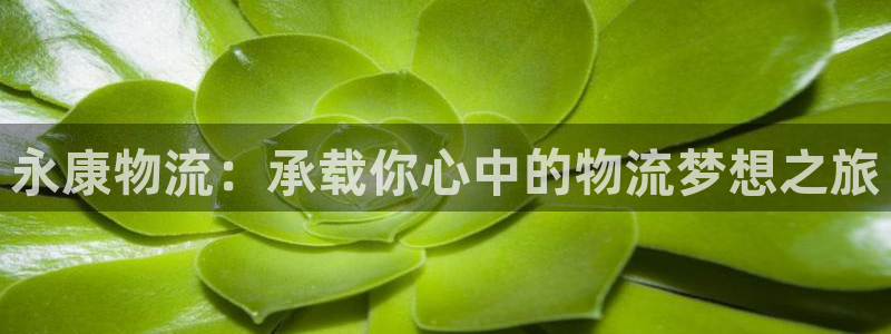 28圈模拟器下载