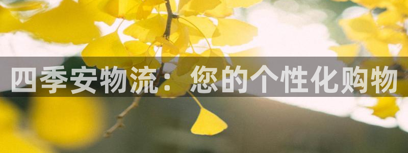 28圈最稳打法：四季安物流：您的个性化购物